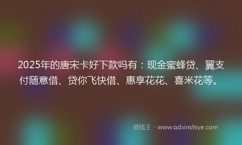 2025年的唐宋卡好下款吗有：现金蜜蜂贷、翼支付随意借、贷你飞快借、惠享花花、喜米花等。