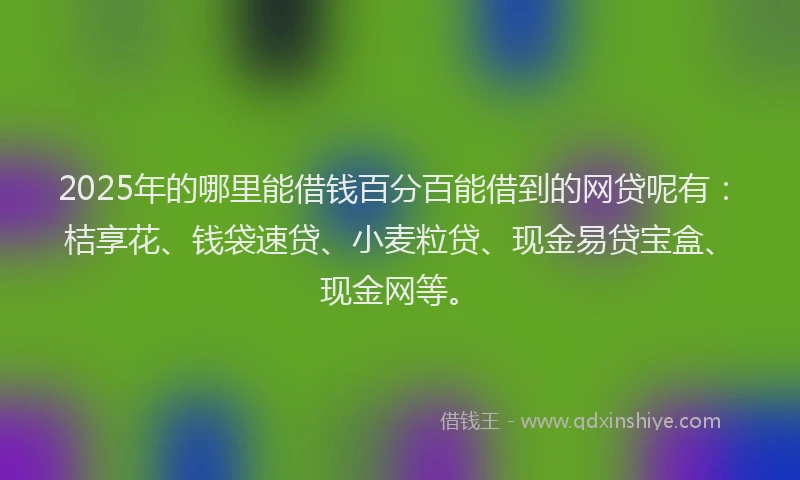 2025年的哪里能借钱百分百能借到的网贷呢有：桔享花、钱袋速贷、小麦粒贷、现金易贷宝盒、现金网等。