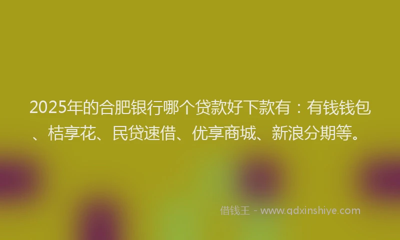 2025年的合肥银行哪个贷款好下款有：有钱钱包、桔享花、民贷速借、优享商城、新浪分期等。