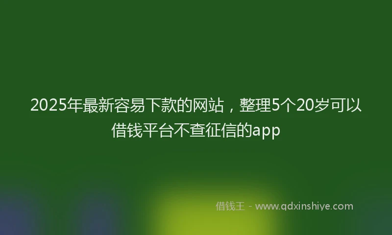 2025年最新容易下款的网站，整理5个20岁可以借钱平台不查征信的app