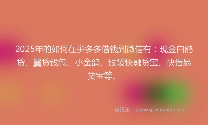 2025年的如何在拼多多借钱到微信有：现金白鸽贷、翼贷钱包、小金鸽、钱袋快融贷宝、快借易贷宝等。