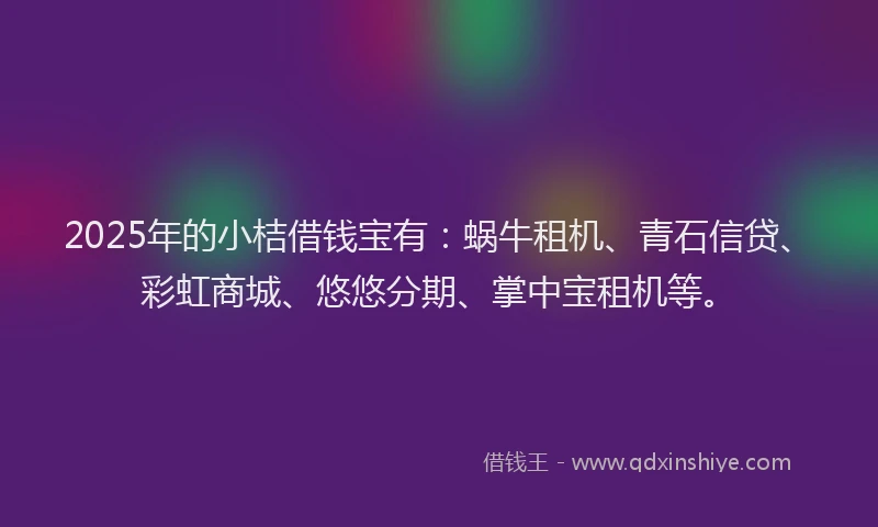 2025年的小桔借钱宝有：蜗牛租机、青石信贷、彩虹商城、悠悠分期、掌中宝租机等。