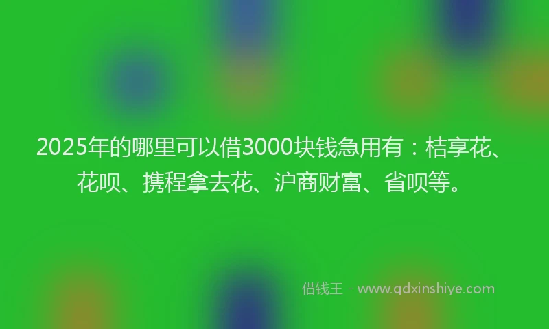 2025年的哪里可以借3000块钱急用有：桔享花、花呗、携程拿去花、沪商财富、省呗等。
