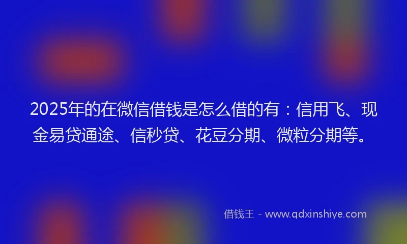 2025年的在微信借钱是怎么借的有：信用飞、现金易贷通途、信秒贷、花豆分期、微粒分期等。