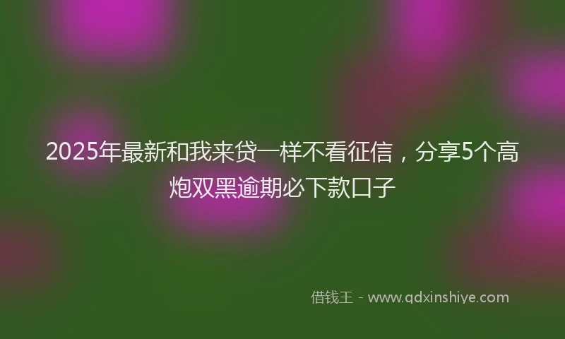 2025年最新和我来贷一样不看征信，分享5个高炮双黑逾期必下款口子