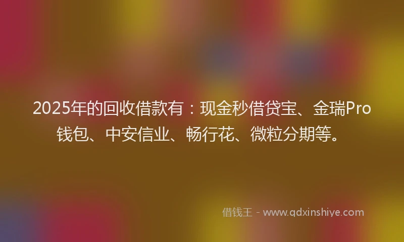 2025年的回收借款有：现金秒借贷宝、金瑞Pro钱包、中安信业、畅行花、微粒分期等。