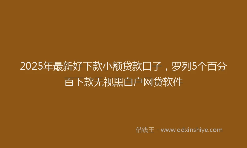 2025年最新好下款小额贷款口子，罗列5个百分百下款无视黑白户网贷软件