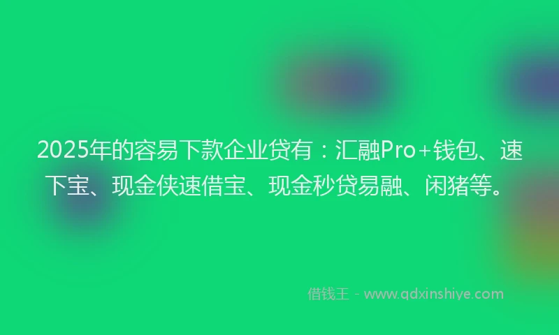 2025年的容易下款企业贷有：汇融Pro+钱包、速下宝、现金侠速借宝、现金秒贷易融、闲猪等。