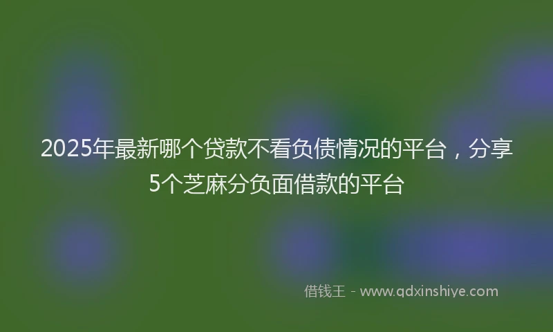 2025年最新哪个贷款不看负债情况的平台，分享5个芝麻分负面借款的平台