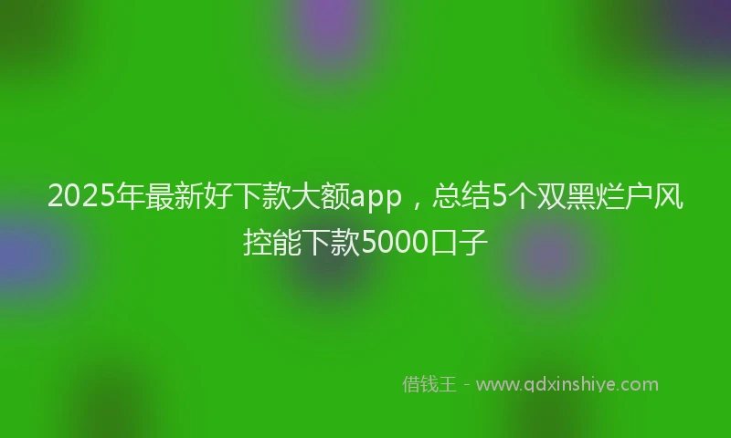 2025年最新好下款大额app，总结5个双黑烂户风控能下款5000口子