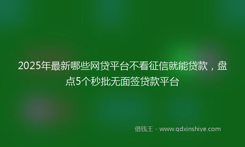 2025年最新哪些网贷平台不看征信就能贷款，盘点5个秒批无面签贷款平台