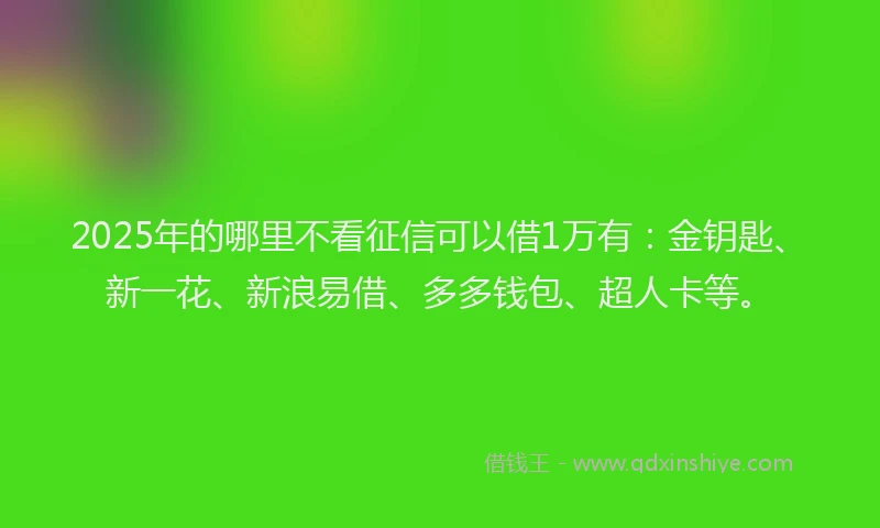 2025年的哪里不看征信可以借1万有：金钥匙、新一花、新浪易借、多多钱包、超人卡等。
