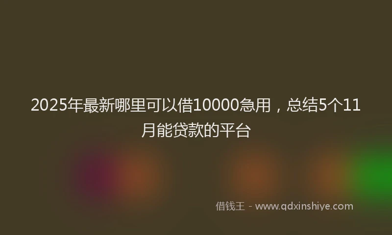 2025年最新哪里可以借10000急用，总结5个11月能贷款的平台