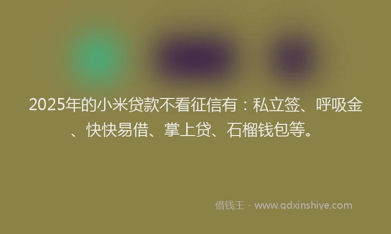 2025年的小米贷款不看征信有：私立签、呼吸金、快快易借、掌上贷、石榴钱包等。
