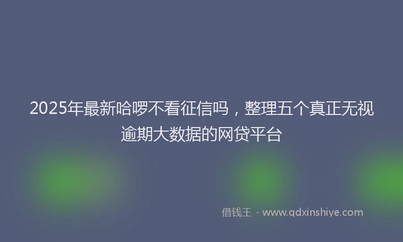 2025年最新哈啰不看征信吗，整理五个真正无视逾期大数据的网贷平台