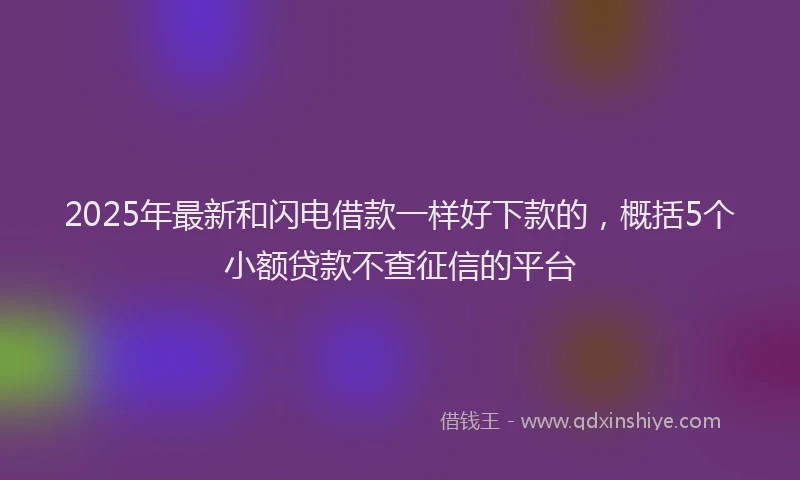 2025年最新和闪电借款一样好下款的，概括5个小额贷款不查征信的平台
