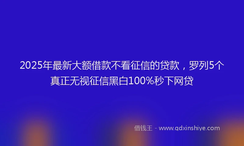 2025年最新大额借款不看征信的贷款，罗列5个真正无视征信黑白100%秒下网贷