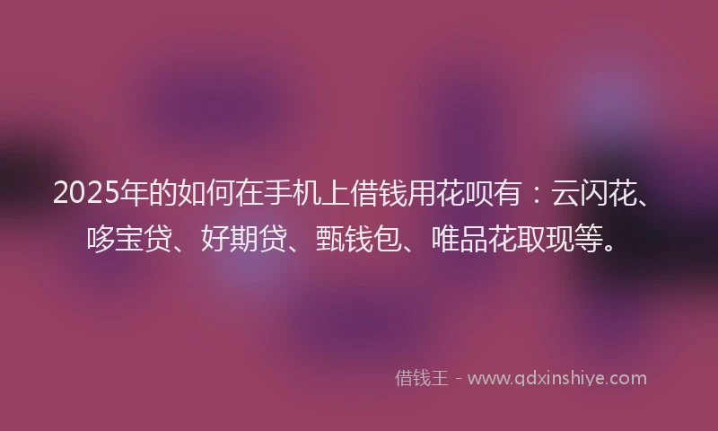 2025年的如何在手机上借钱用花呗有：云闪花、哆宝贷、好期贷、甄钱包、唯品花取现等。