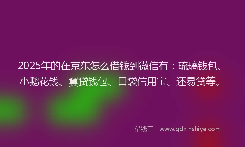 2025年的在京东怎么借钱到微信有：琉璃钱包、小鹅花钱、翼贷钱包、口袋信用宝、还易贷等。