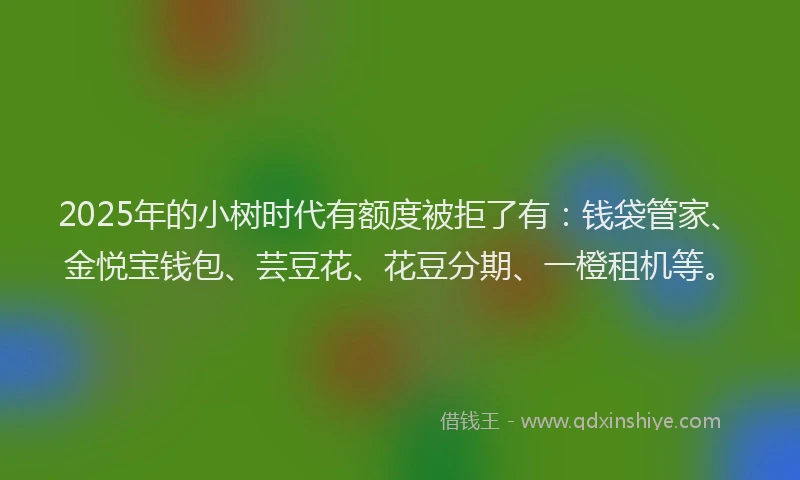 2025年的小树时代有额度被拒了有：钱袋管家、金悦宝钱包、芸豆花、花豆分期、一橙租机等。