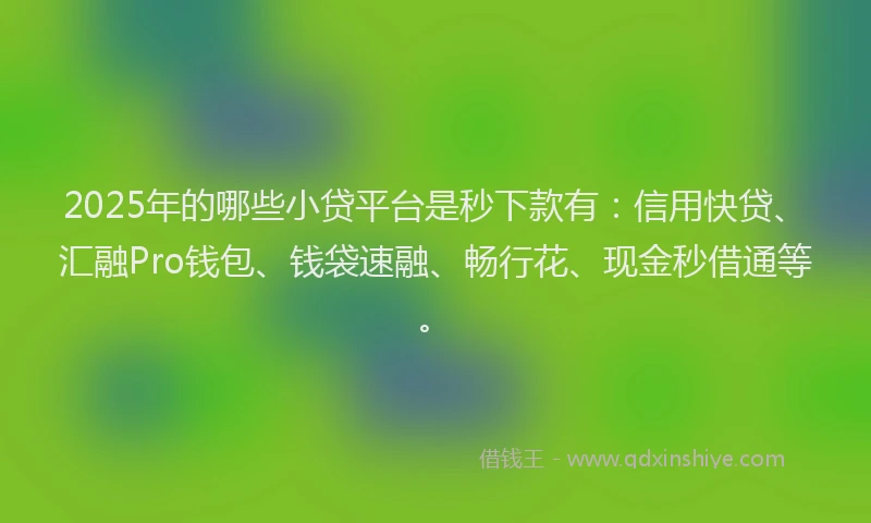 2025年的哪些小贷平台是秒下款有：信用快贷、汇融Pro钱包、钱袋速融、畅行花、现金秒借通等。