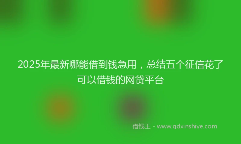 2025年最新哪能借到钱急用，总结五个征信花了可以借钱的网贷平台