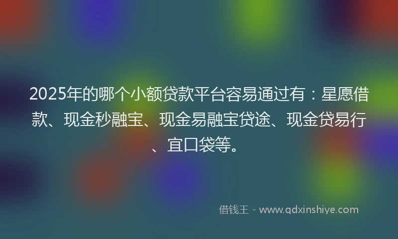2025年的哪个小额贷款平台容易通过有：星愿借款、现金秒融宝、现金易融宝贷途、现金贷易行、宜口袋等。
