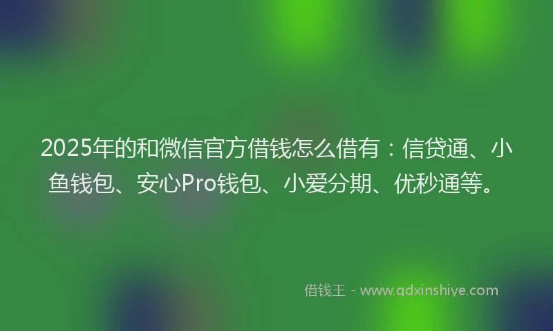 2025年的和微信官方借钱怎么借有：信贷通、小鱼钱包、安心Pro钱包、小爱分期、优秒通等。
