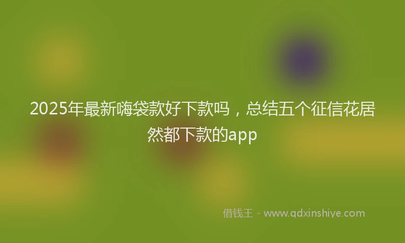2025年最新嗨袋款好下款吗，总结五个征信花居然都下款的app