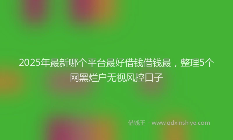 2025年最新哪个平台最好借钱借钱最，整理5个网黑烂户无视风控口子
