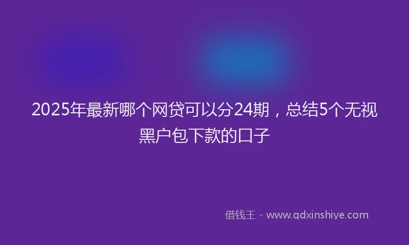 2025年最新哪个网贷可以分24期，总结5个无视黑户包下款的口子