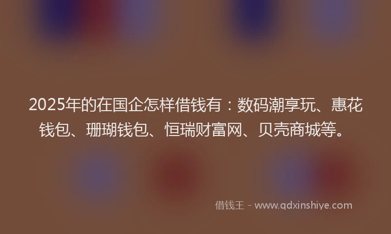 2025年的在国企怎样借钱有：数码潮享玩、惠花钱包、珊瑚钱包、恒瑞财富网、贝壳商城等。
