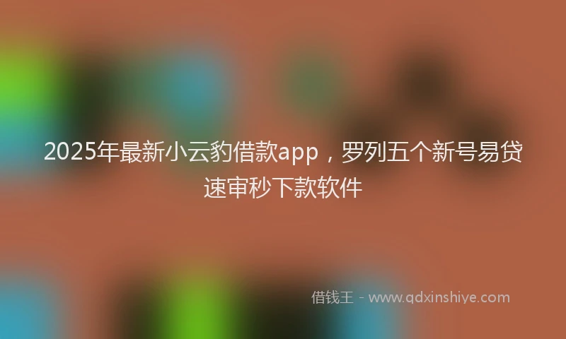 2025年最新小云豹借款app，罗列五个新号易贷速审秒下款软件
