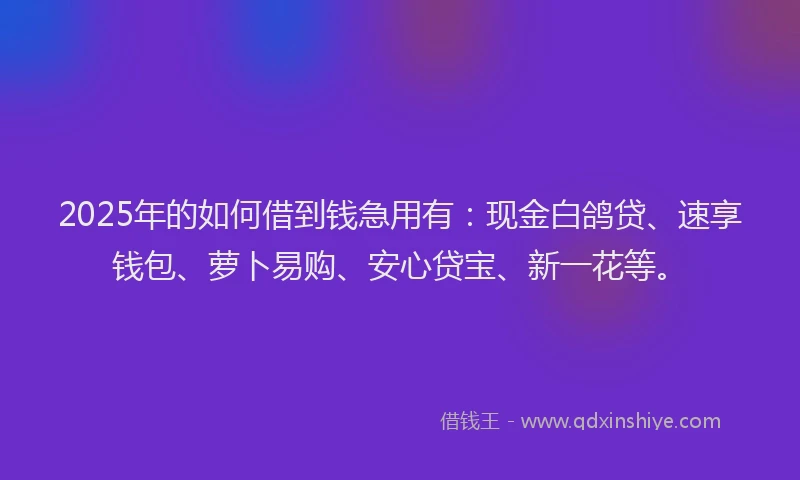 2025年的如何借到钱急用有：现金白鸽贷、速享钱包、萝卜易购、安心贷宝、新一花等。