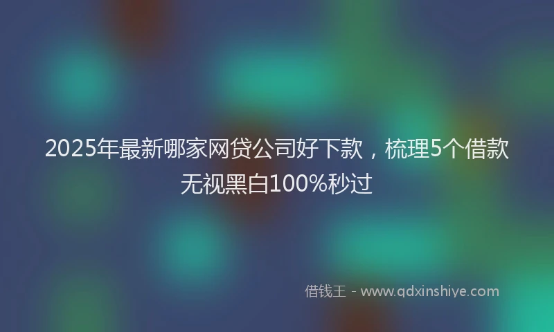 2025年最新哪家网贷公司好下款，梳理5个借款无视黑白100%秒过