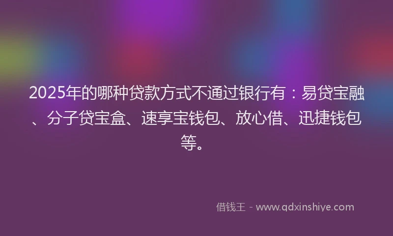 2025年的哪种贷款方式不通过银行有：易贷宝融、分子贷宝盒、速享宝钱包、放心借、迅捷钱包等。