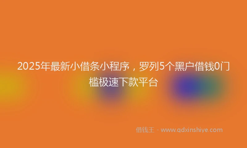 2025年最新小借条小程序，罗列5个黑户借钱0门槛极速下款平台