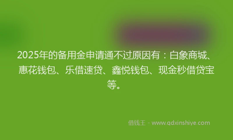 2025年的备用金申请通不过原因有：白象商城、惠花钱包、乐借速贷、鑫悦钱包、现金秒借贷宝等。