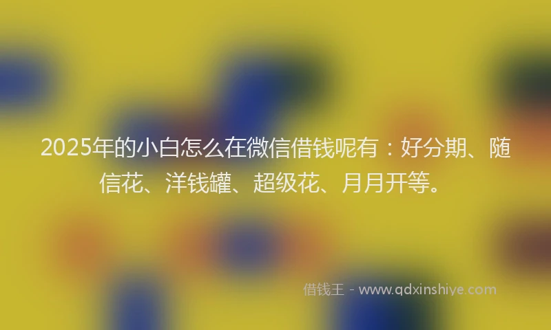 2025年的小白怎么在微信借钱呢有：好分期、随信花、洋钱罐、超级花、月月开等。