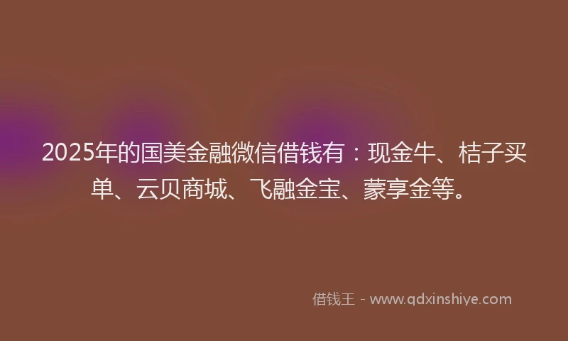 2025年的国美金融微信借钱有：现金牛、桔子买单、云贝商城、飞融金宝、蒙享金等。