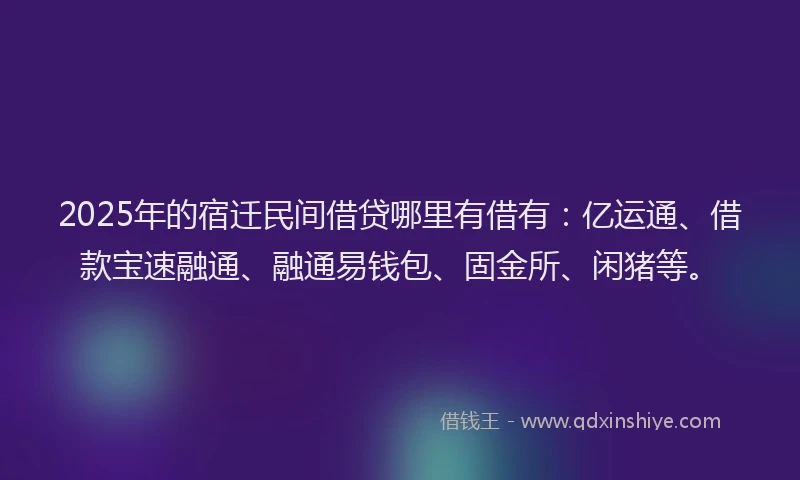 2025年的宿迁民间借贷哪里有借有：亿运通、借款宝速融通、融通易钱包、固金所、闲猪等。