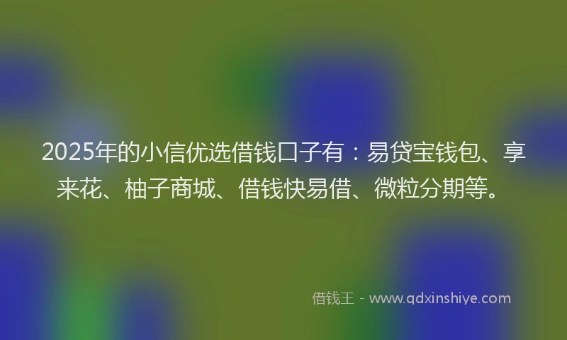 2025年的小信优选借钱口子有：易贷宝钱包、享来花、柚子商城、借钱快易借、微粒分期等。