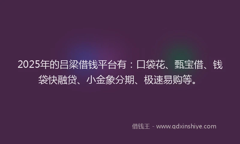 2025年的吕梁借钱平台有：口袋花、甄宝借、钱袋快融贷、小金象分期、极速易购等。