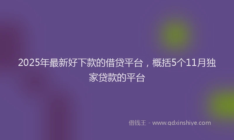 2025年最新好下款的借贷平台，概括5个11月独家贷款的平台