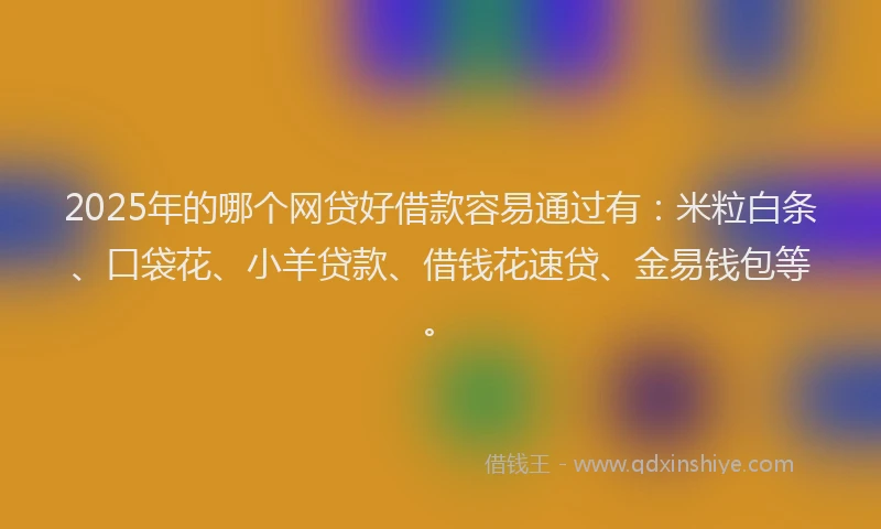 2025年的哪个网贷好借款容易通过有：米粒白条、口袋花、小羊贷款、借钱花速贷、金易钱包等。