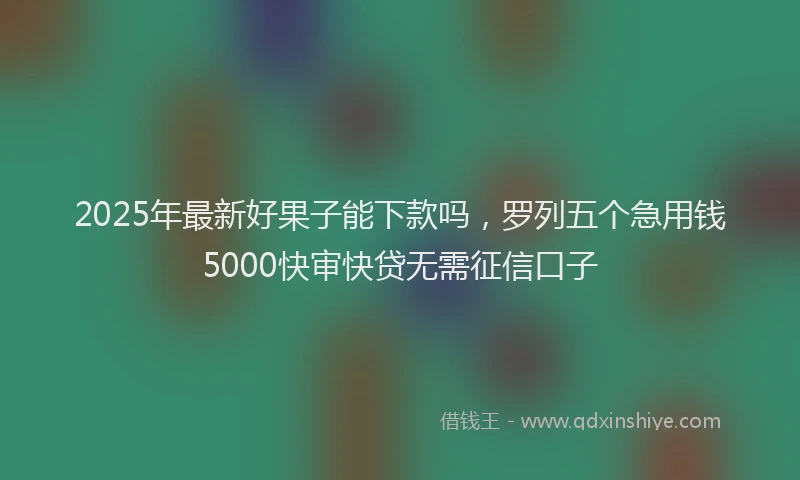2025年最新好果子能下款吗，罗列五个急用钱5000快审快贷无需征信口子