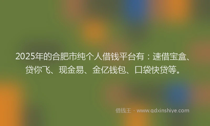 2025年的合肥市纯个人借钱平台有：速借宝盒、贷你飞、现金易、金亿钱包、口袋快贷等。