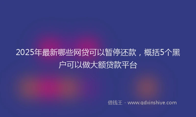 2025年最新哪些网贷可以暂停还款，概括5个黑户可以做大额贷款平台