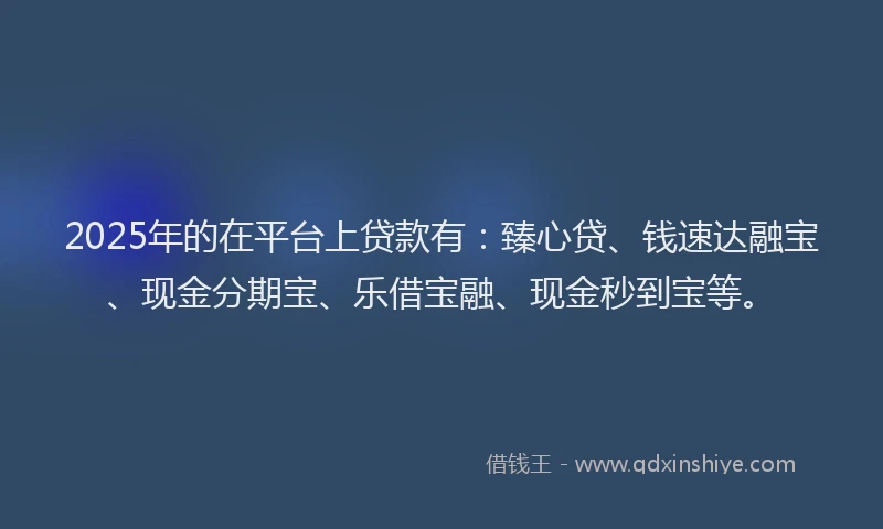 2025年的在平台上贷款有：臻心贷、钱速达融宝、现金分期宝、乐借宝融、现金秒到宝等。