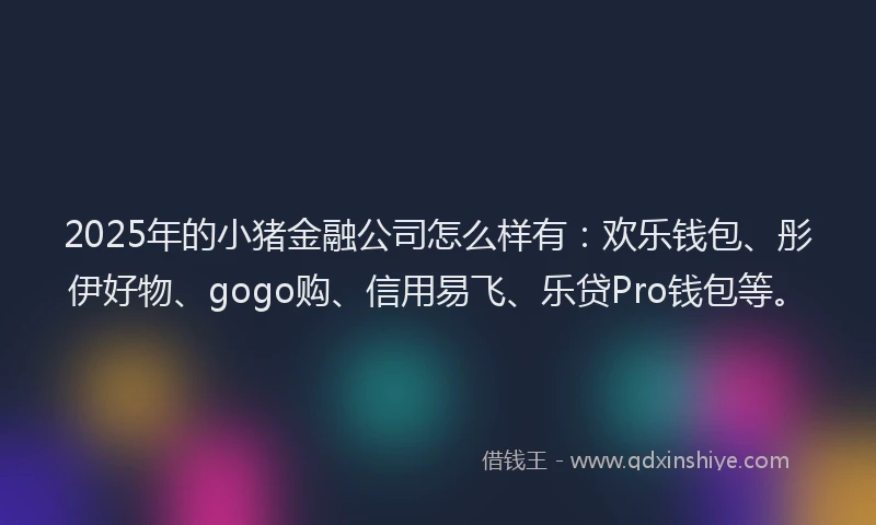 2025年的小猪金融公司怎么样有：欢乐钱包、彤伊好物、gogo购、信用易飞、乐贷Pro钱包等。